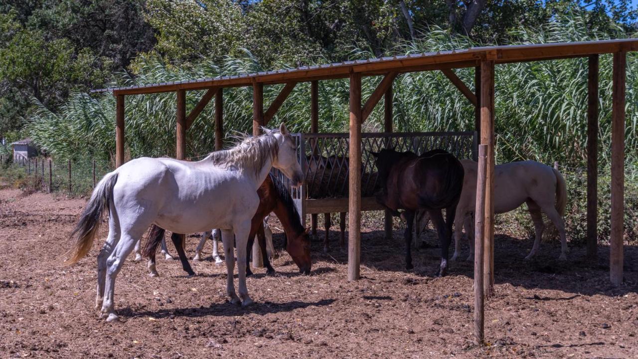 فيلا Quinta Das Murgas Bucelas المظهر الخارجي الصورة